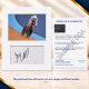 Jess Varnish signed genuine signature autograph display UACC RD MANUSCRIPT SOCIETY